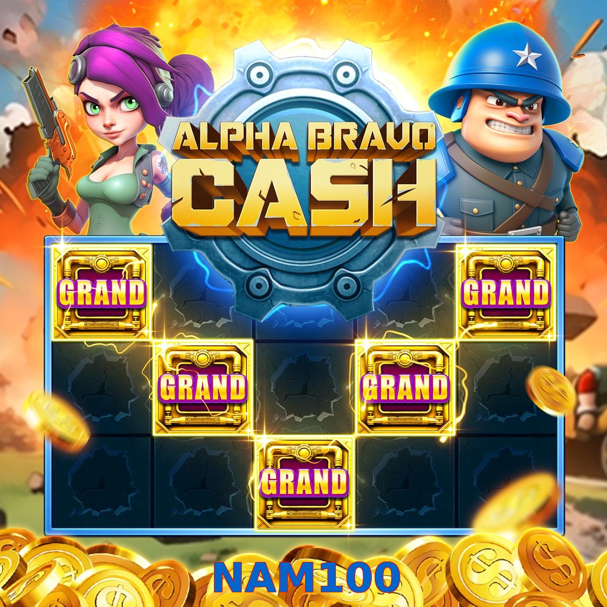 NAM100