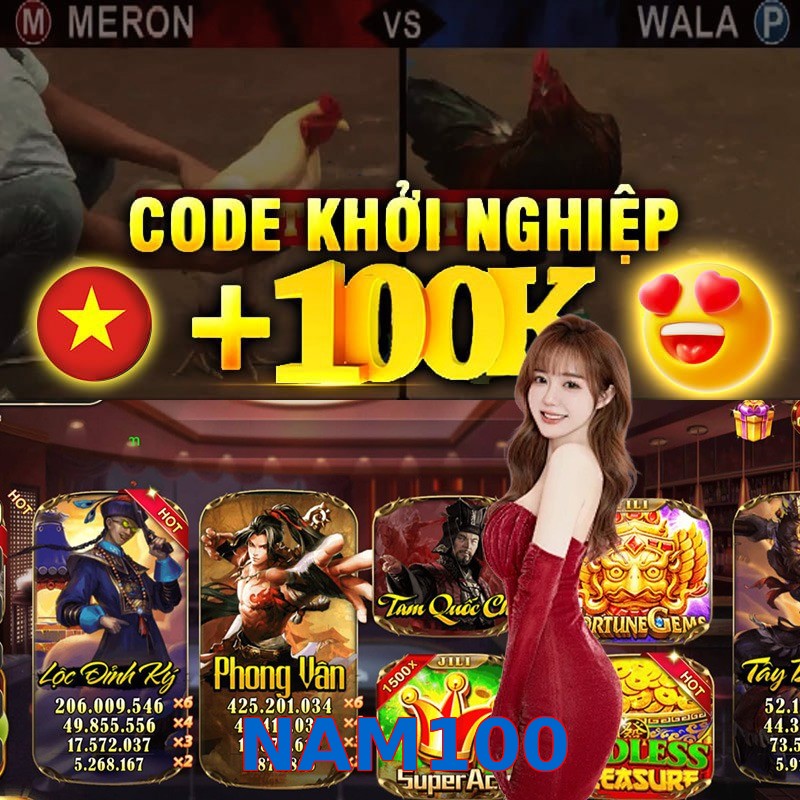 NAM100